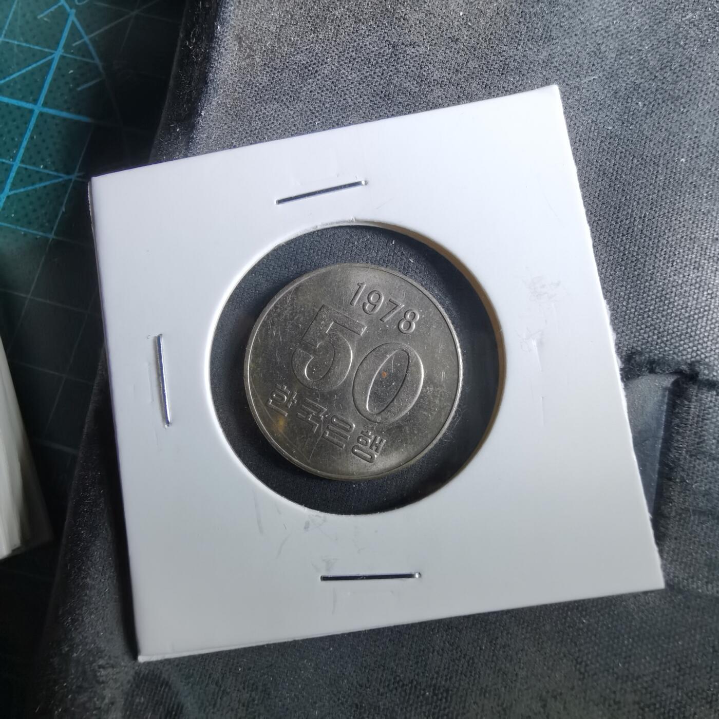 沼泽如烟--第960场