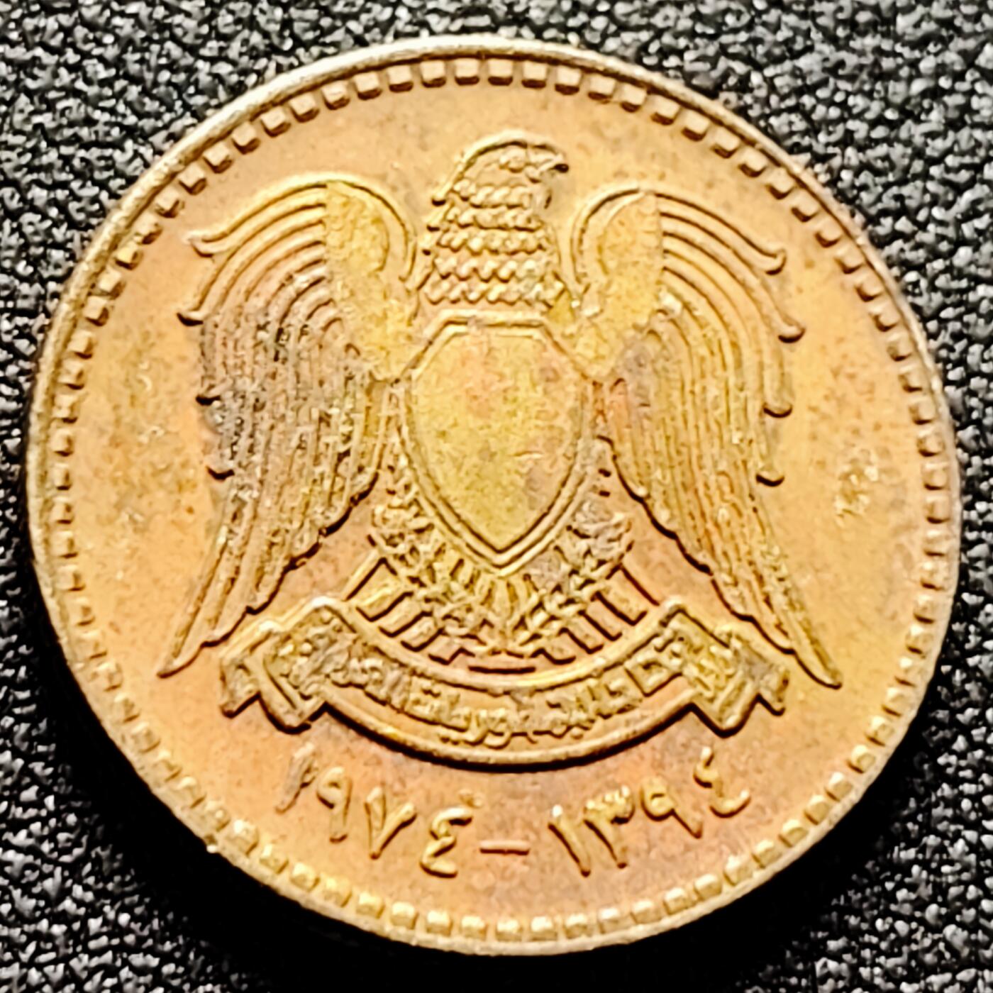 泉币菌-第170场- 精品福利场 。