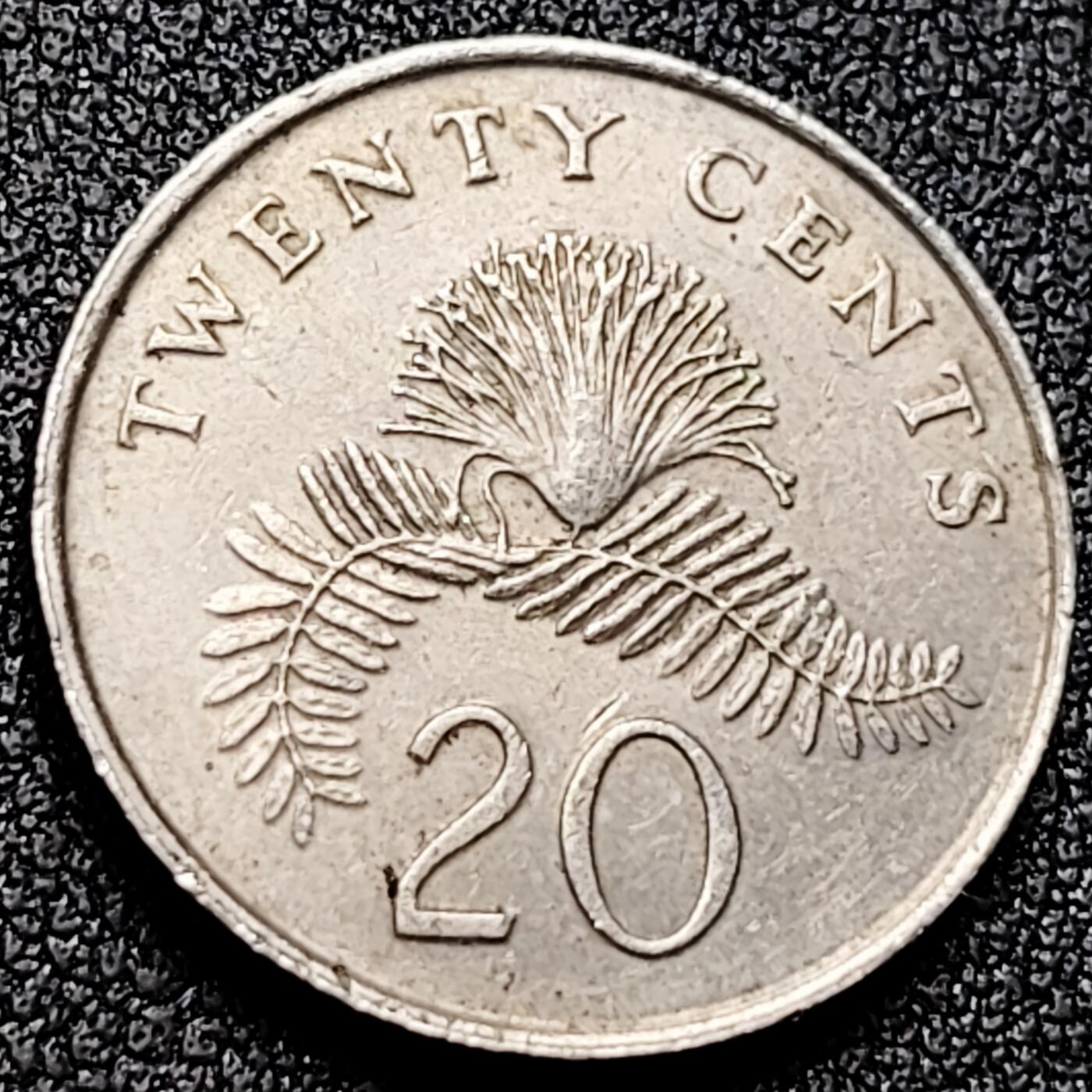 泉币菌-第170场- 精品福利场 。