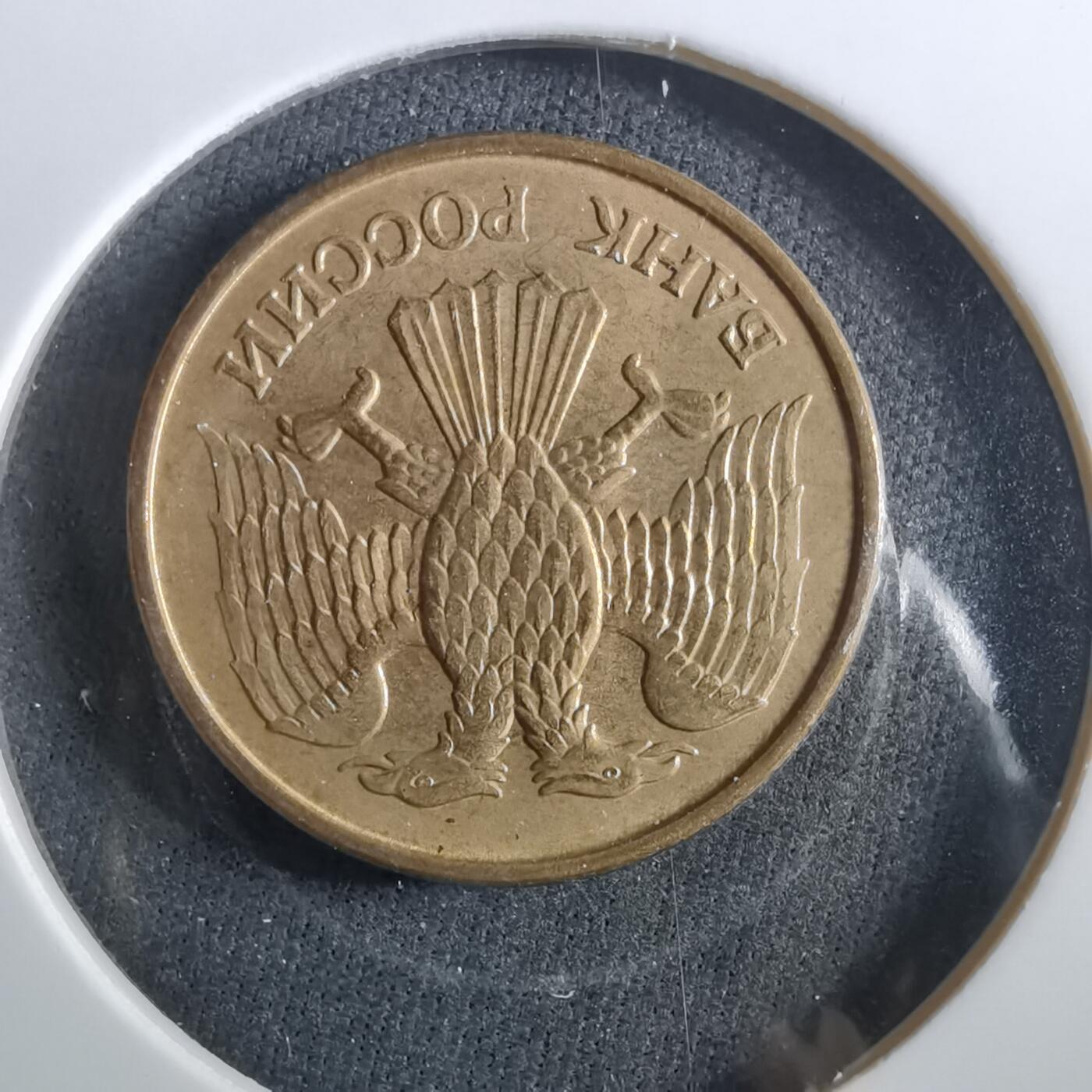 沼泽如烟--第960场