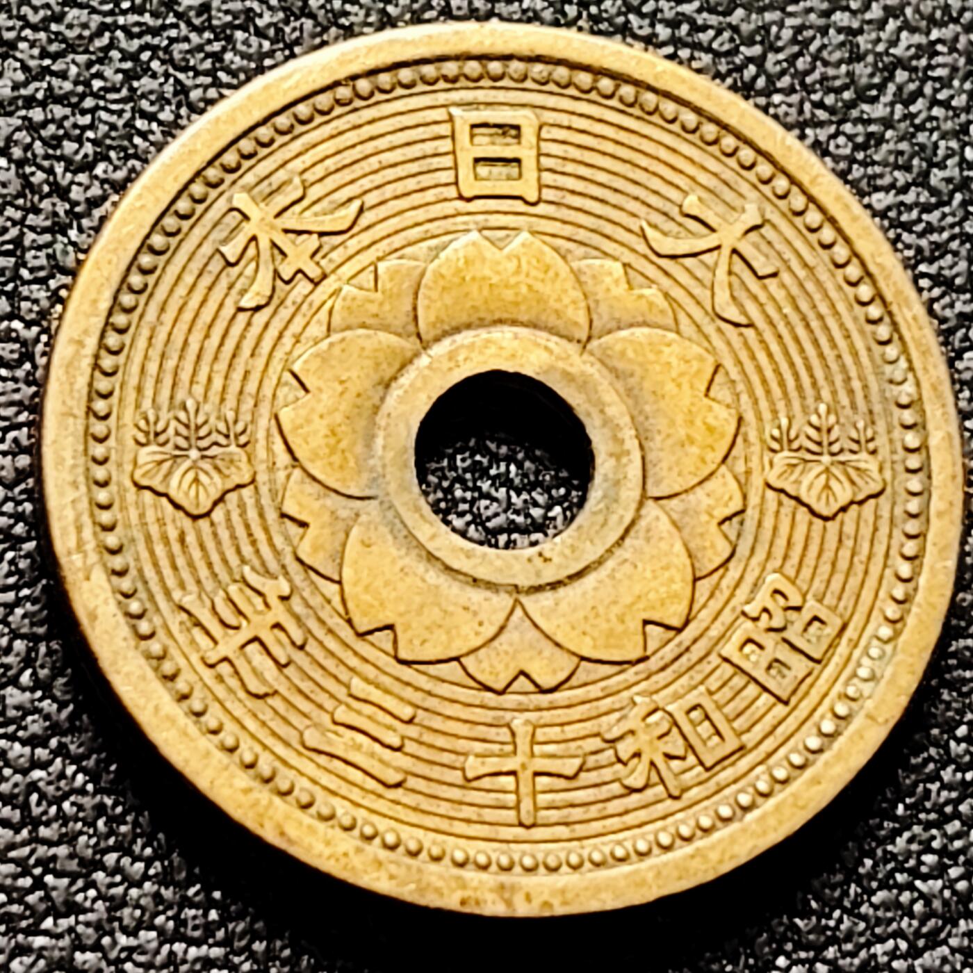 泉币菌-第170场- 精品福利场 。