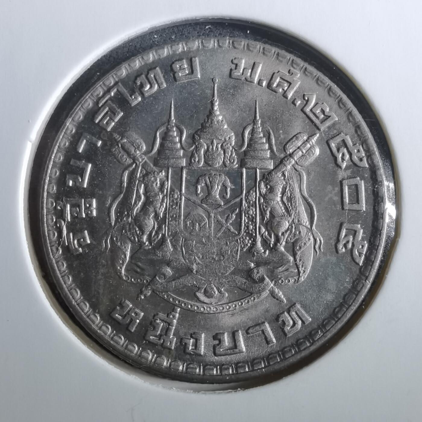 沼泽如烟--第960场