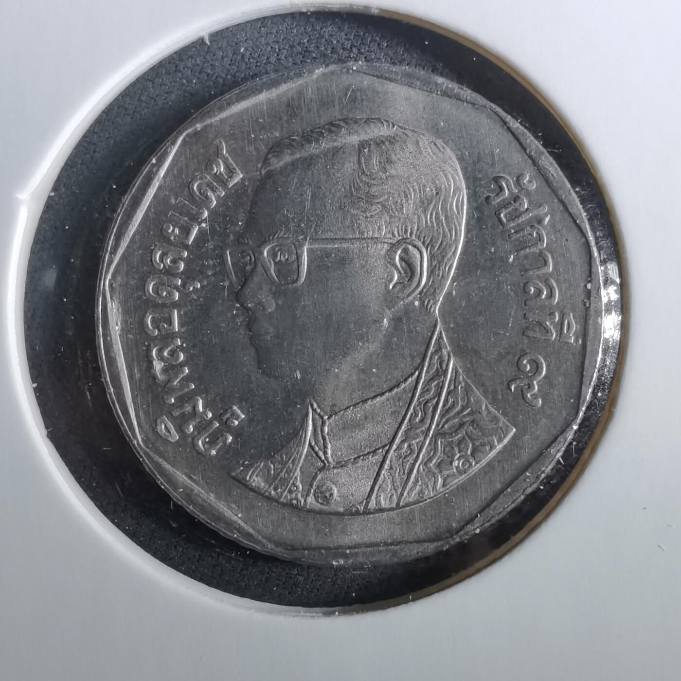 沼泽如烟--第960场