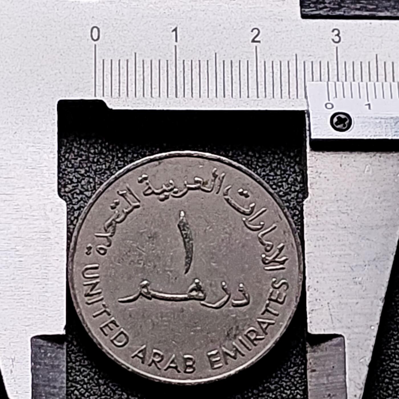 泉币菌-第170场- 精品福利场 。