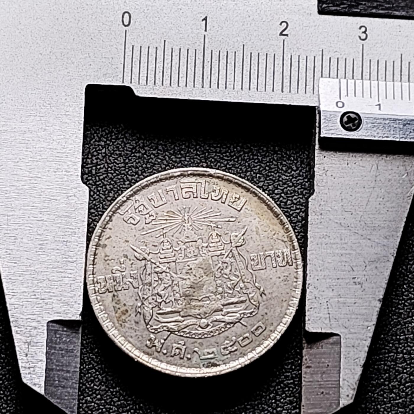 泉币菌-第170场- 精品福利场 。