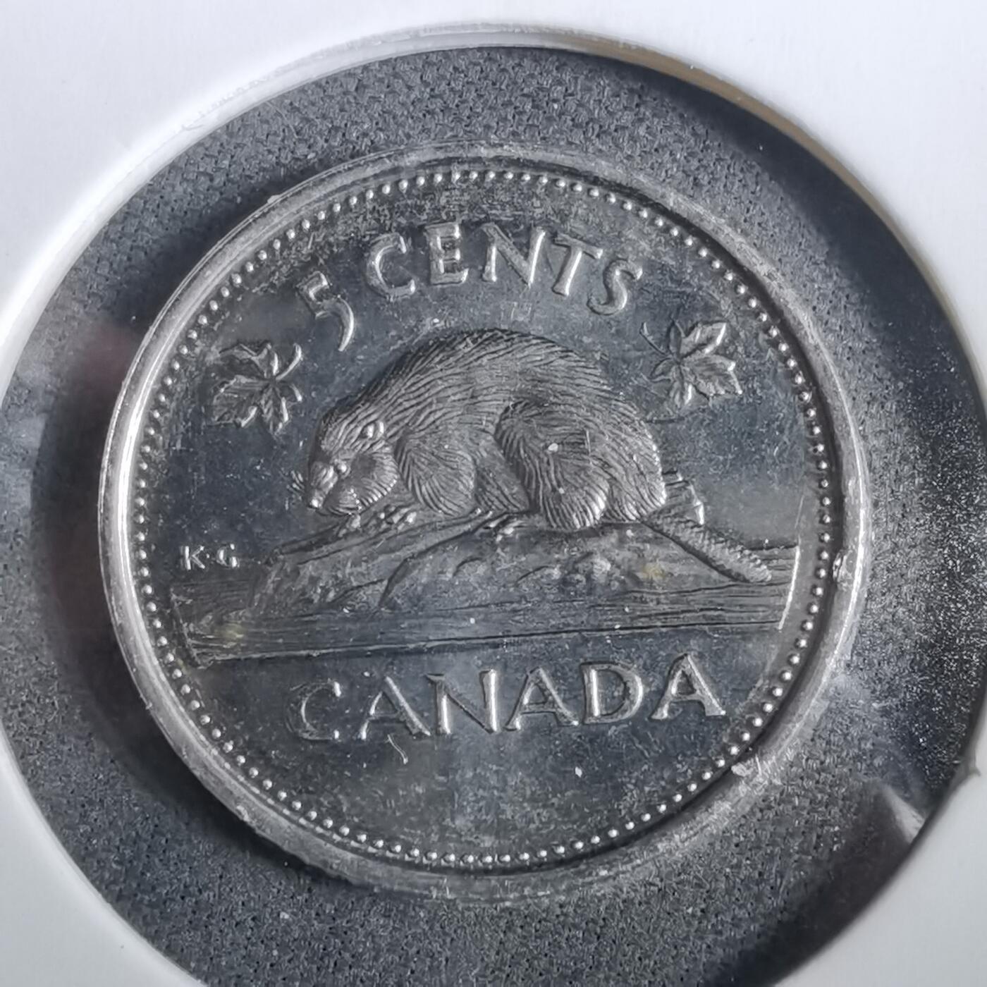 沼泽如烟--第960场