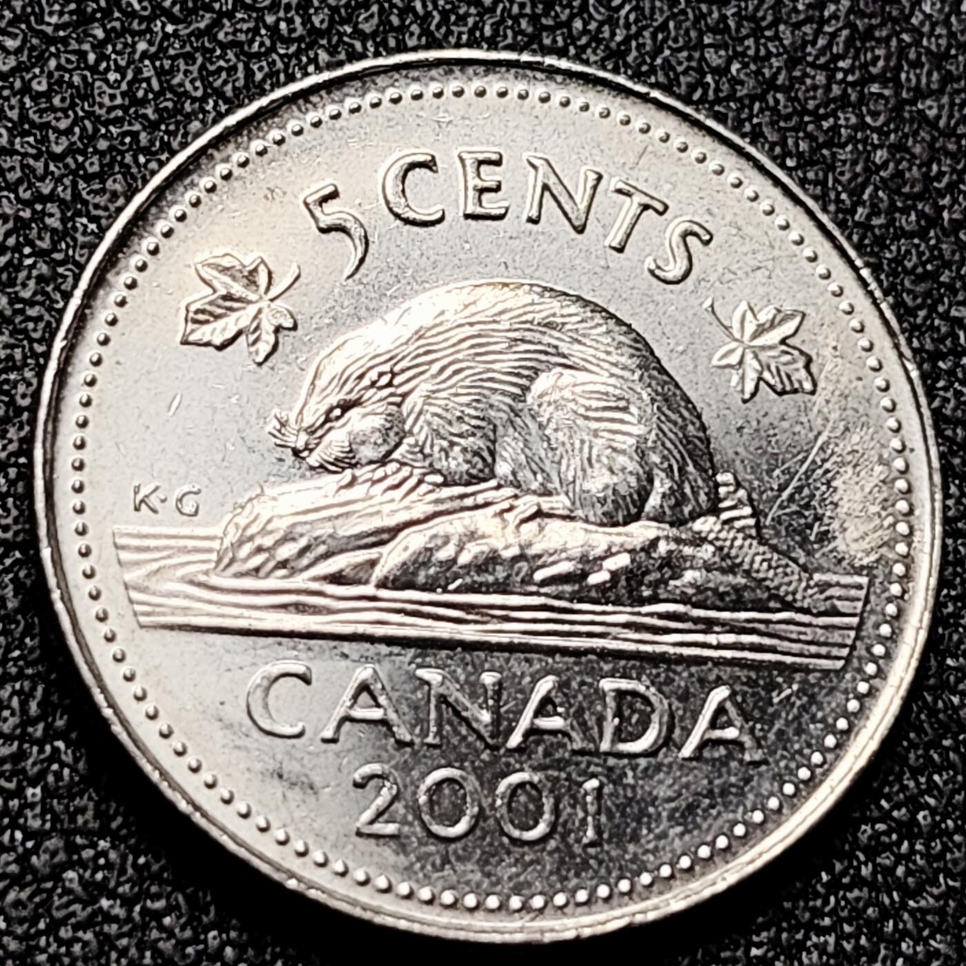 泉币菌-第169场- 精品福利场