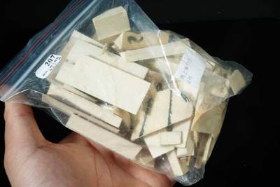 上海都达杂项专场七十三【全场包邮】 边角料 一堆 （重445克）51-207