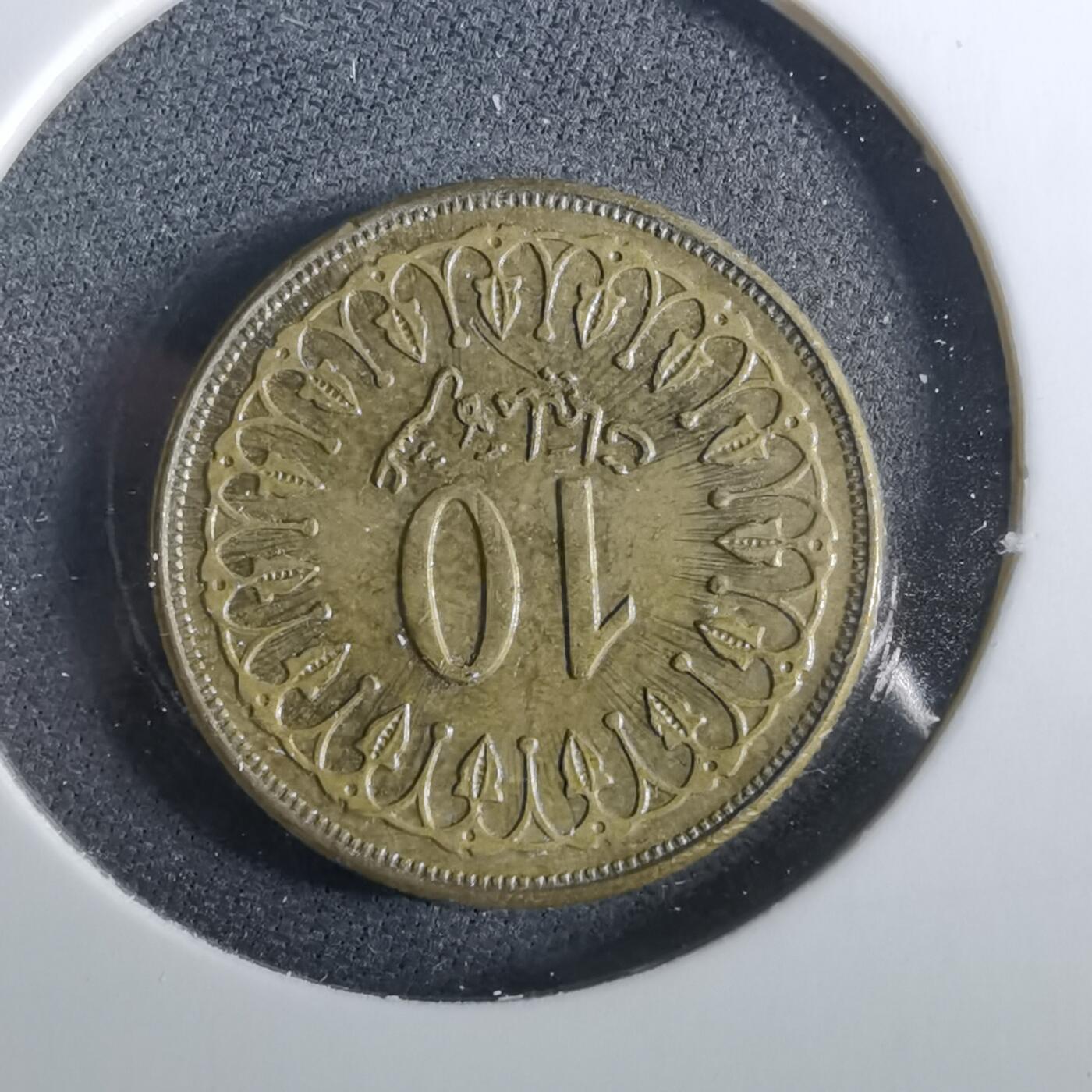 沼泽如烟--第960场