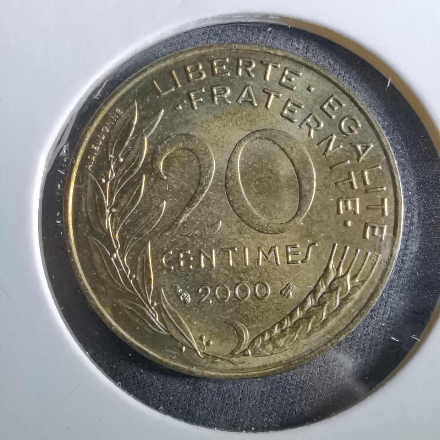 沼泽如烟--第960场