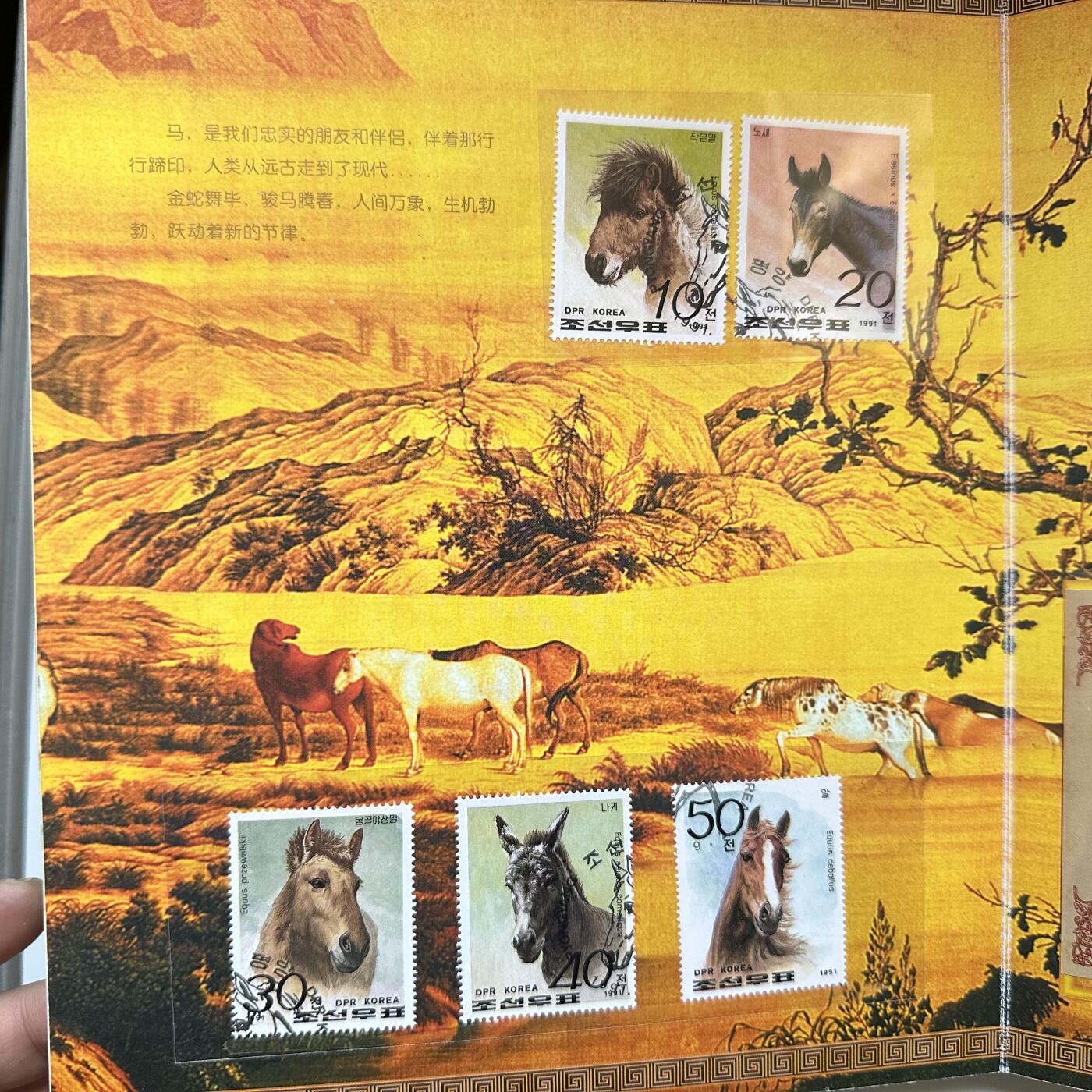 🌹外币初藏🌹🐯2026年第7场  每周二四六晚8️⃣点 接代拍 马到成功纸币收藏册 尾4同号，5张还是5同号