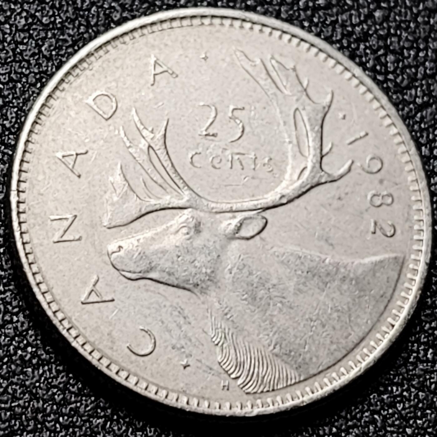 泉币菌-第170场- 精品福利场 。