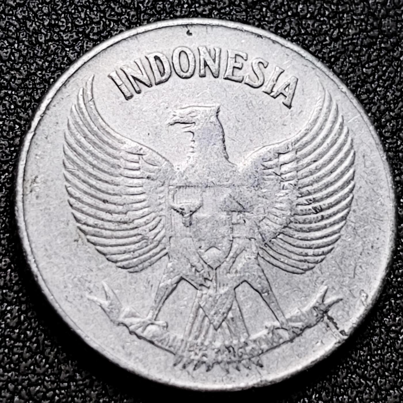 泉币菌-第170场- 精品福利场 。