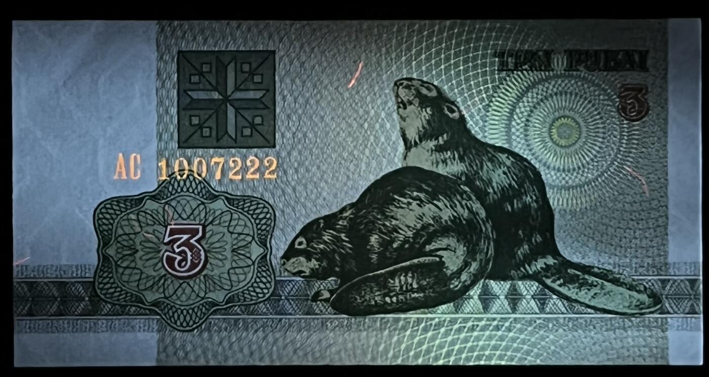 小福收藏拍卖第199期 裸钞场 本期有多张豹子号靓号 瑞士1000法郎 经典提香 毛里求斯首发年大全套 白俄罗斯5000000卢布 苏里南10000盾  爱沙尼亚  苏丹 西班牙 保加利亚 古巴等多国精美纸币 白俄罗斯 1992年 3卢布 海獭 豹子号222 unc