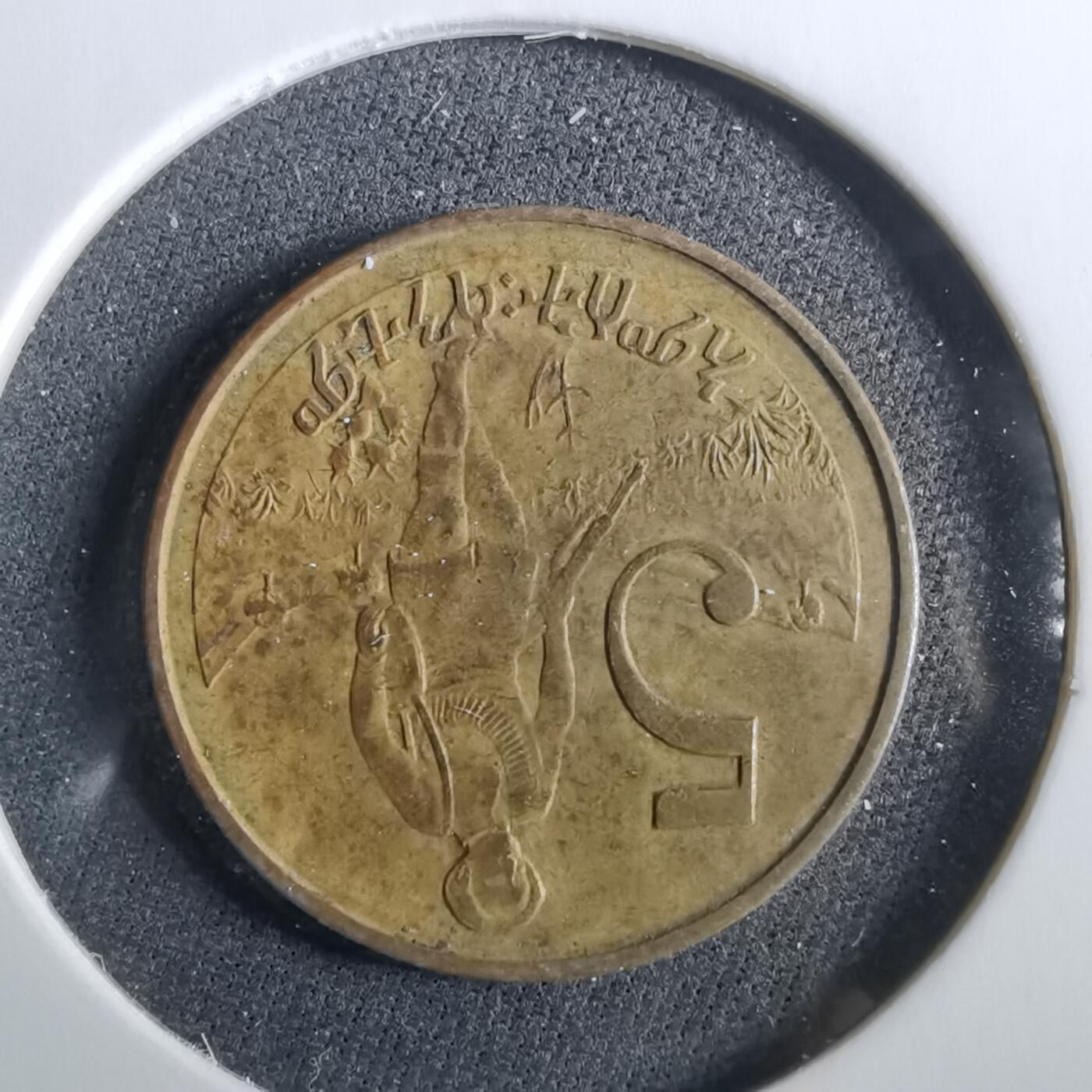 沼泽如烟--第960场