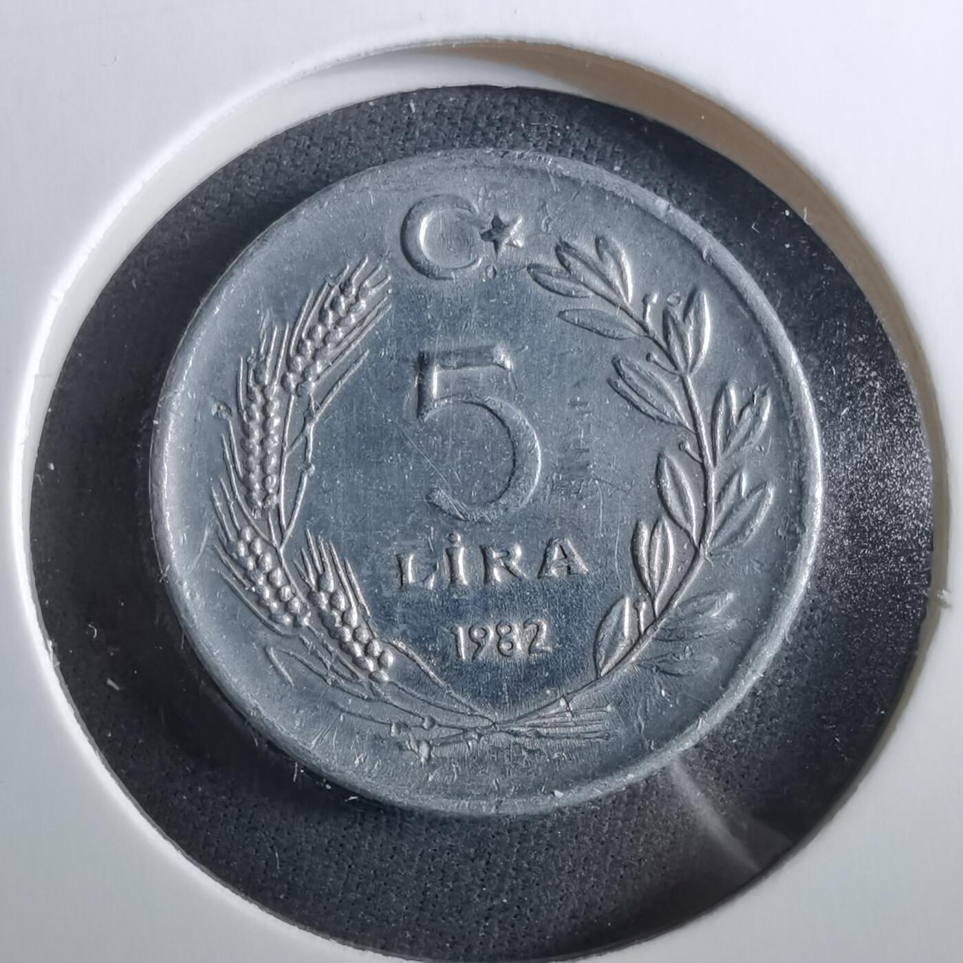 沼泽如烟--第960场