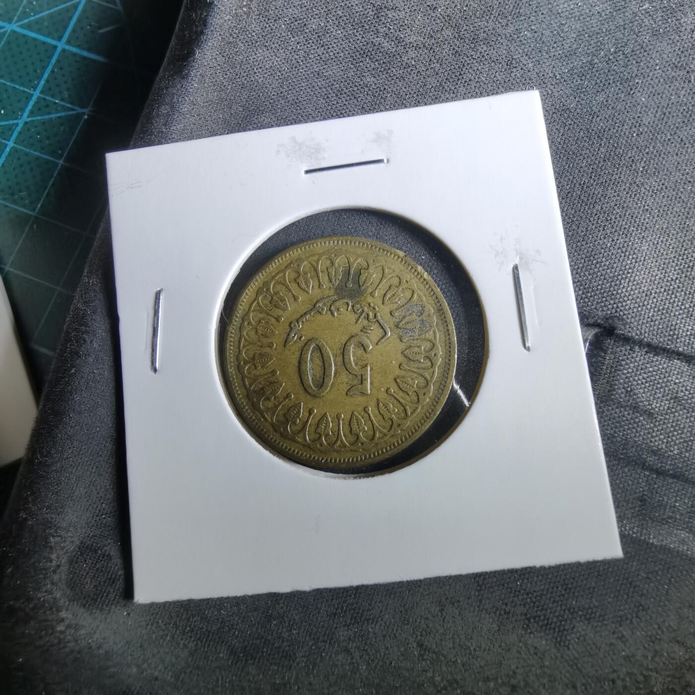 沼泽如烟--第960场