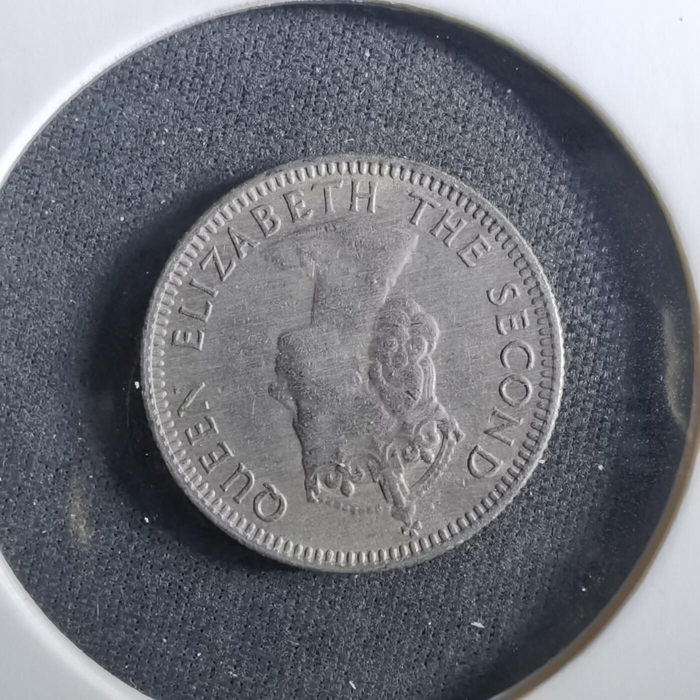 沼泽如烟--第960场