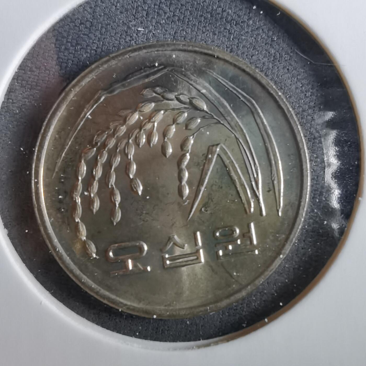 沼泽如烟--第960场