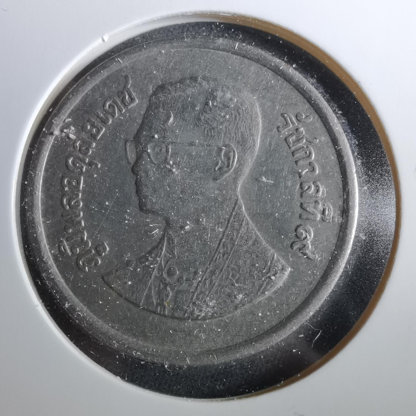 沼泽如烟--第960场