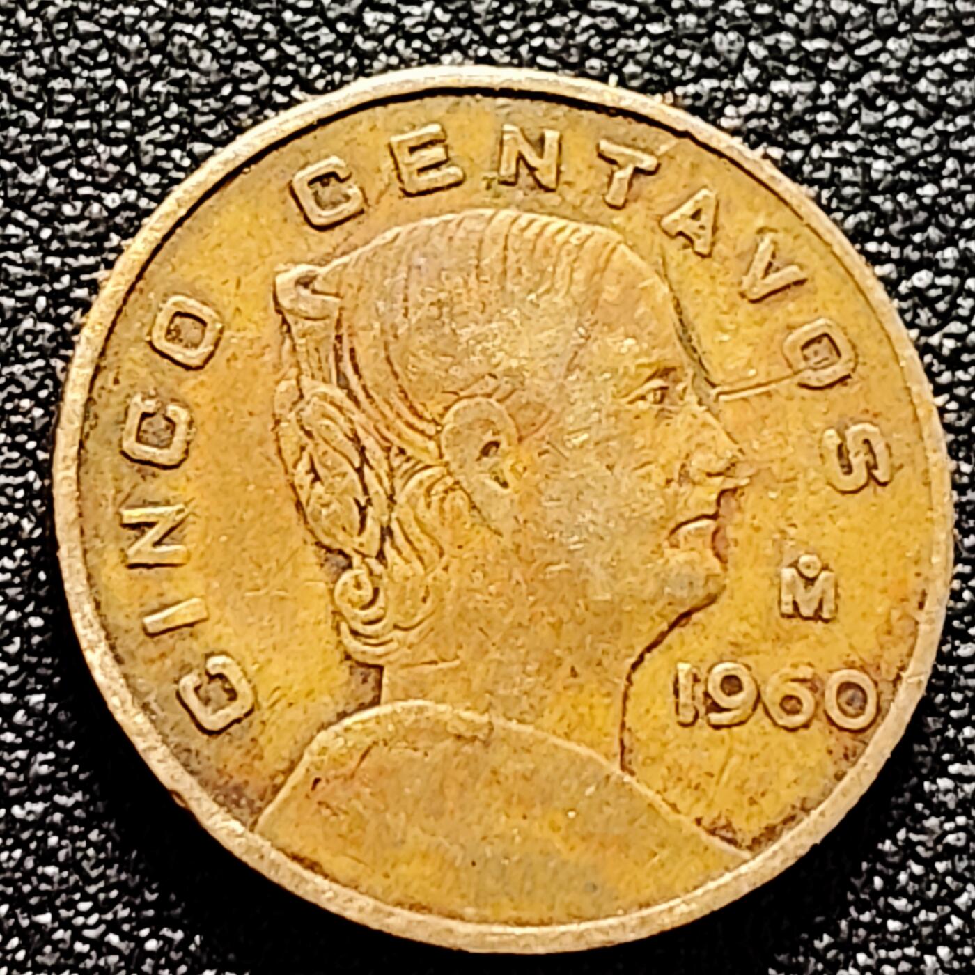 泉币菌-第170场- 精品福利场 。