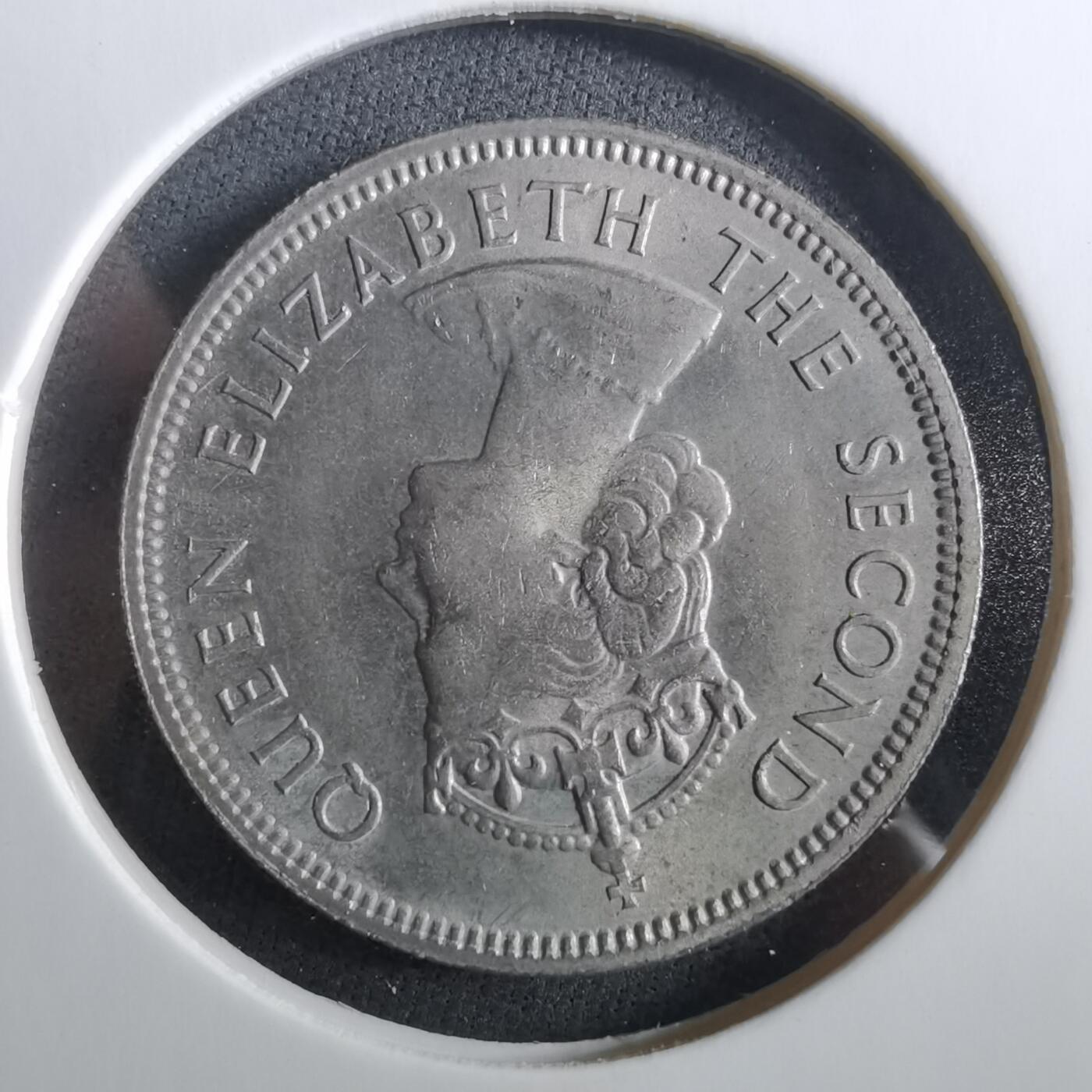 沼泽如烟--第960场