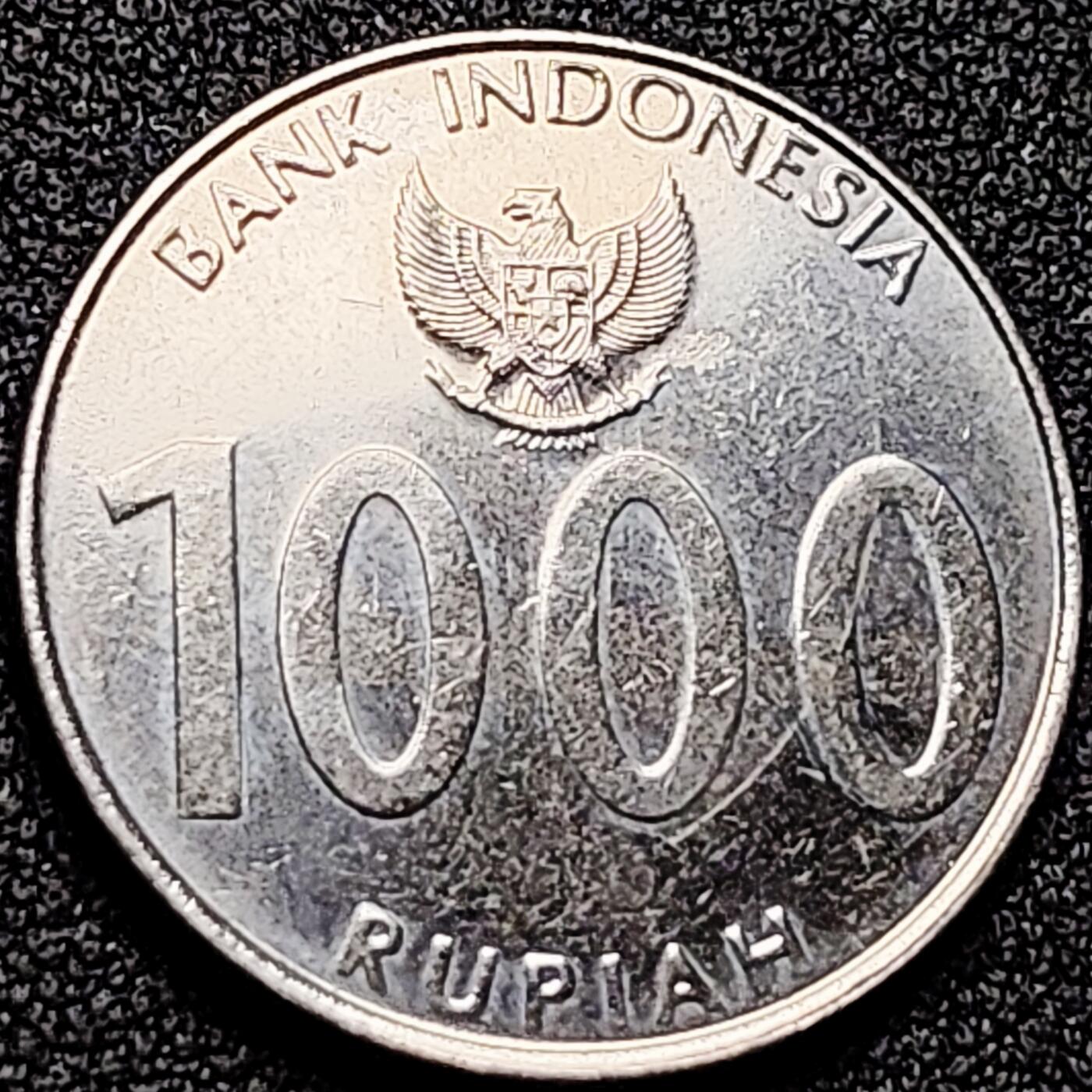 泉币菌-第170场- 精品福利场 。