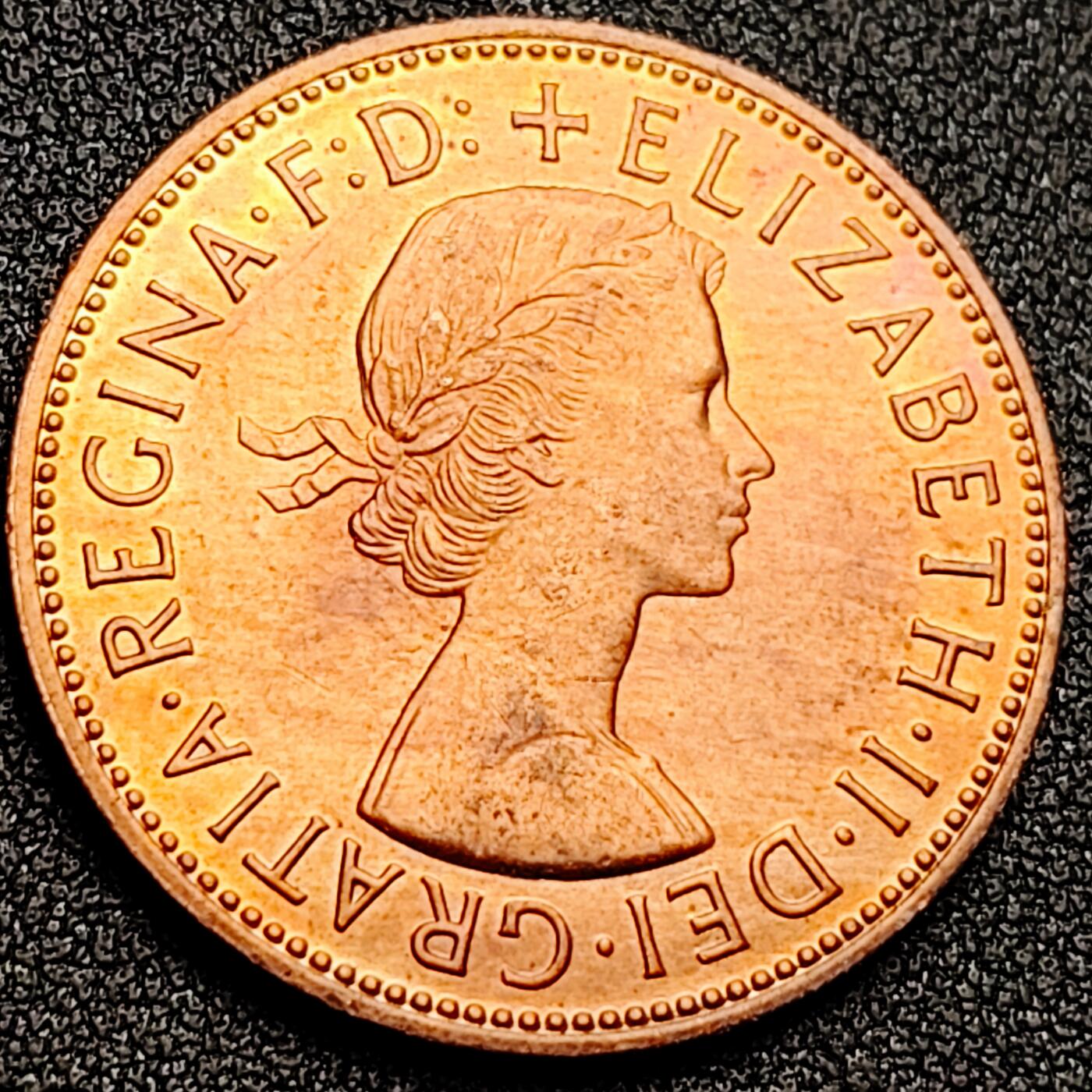 泉币菌-第170场- 精品福利场 。