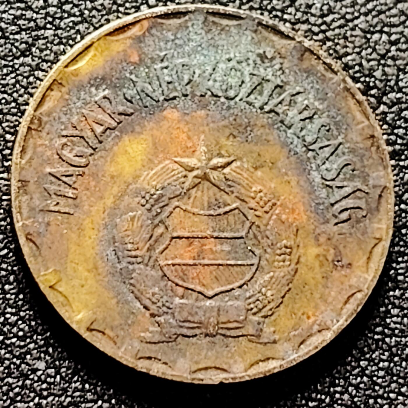 泉币菌-第170场- 精品福利场 。