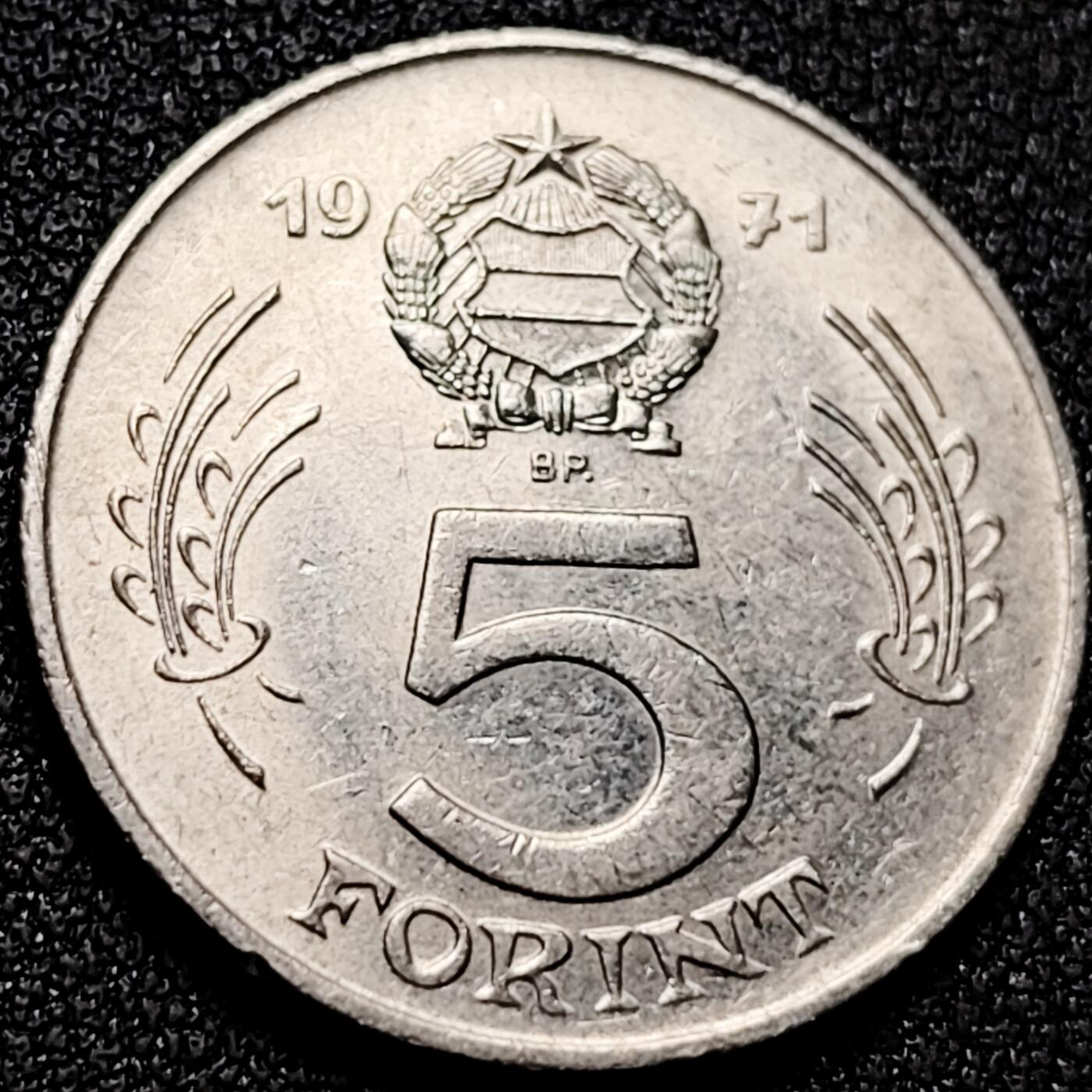 泉币菌-第170场- 精品福利场 。