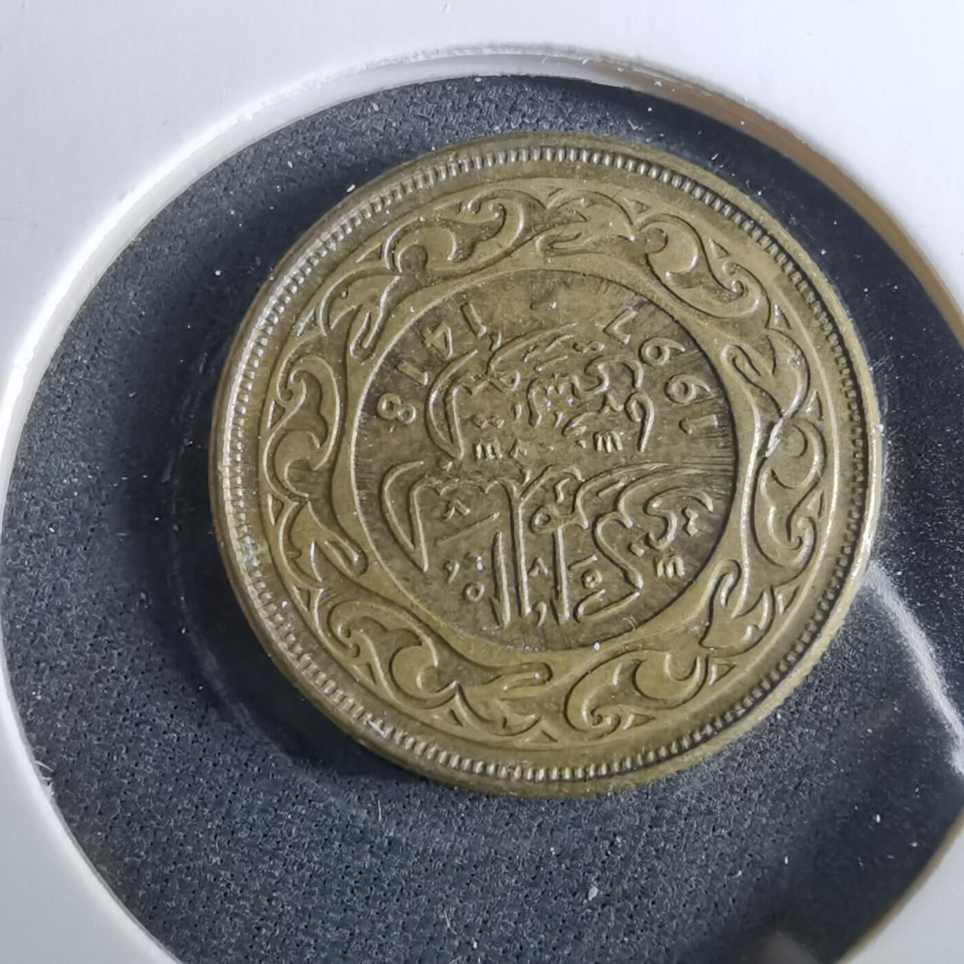 沼泽如烟--第960场