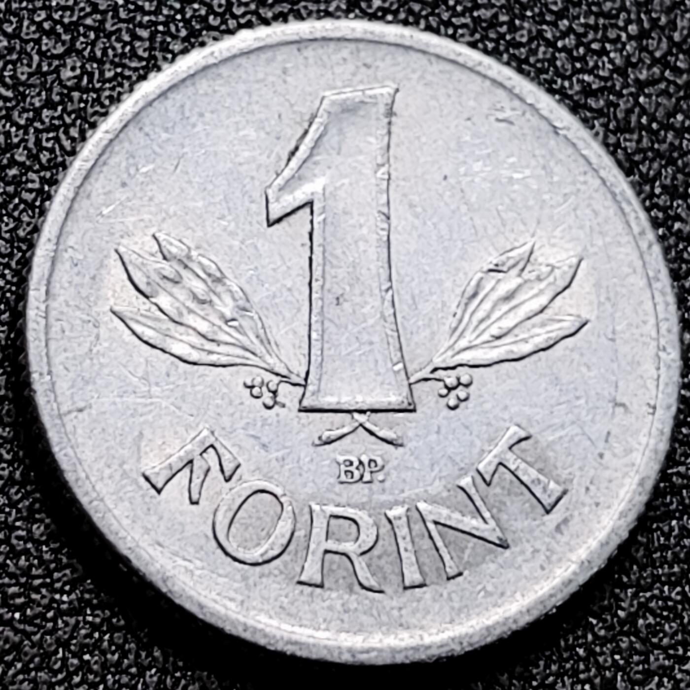 泉币菌-第170场- 精品福利场 。