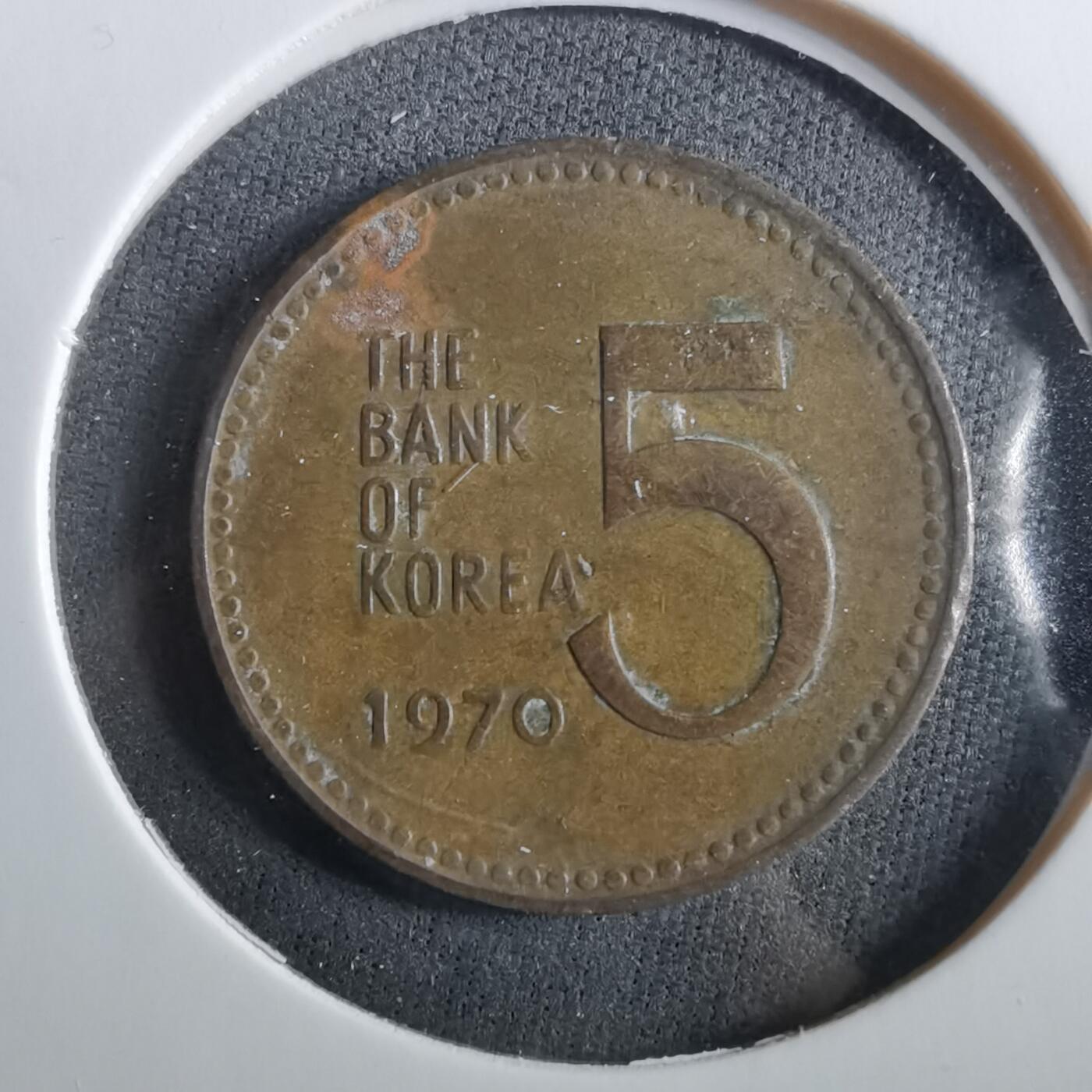 沼泽如烟--第960场