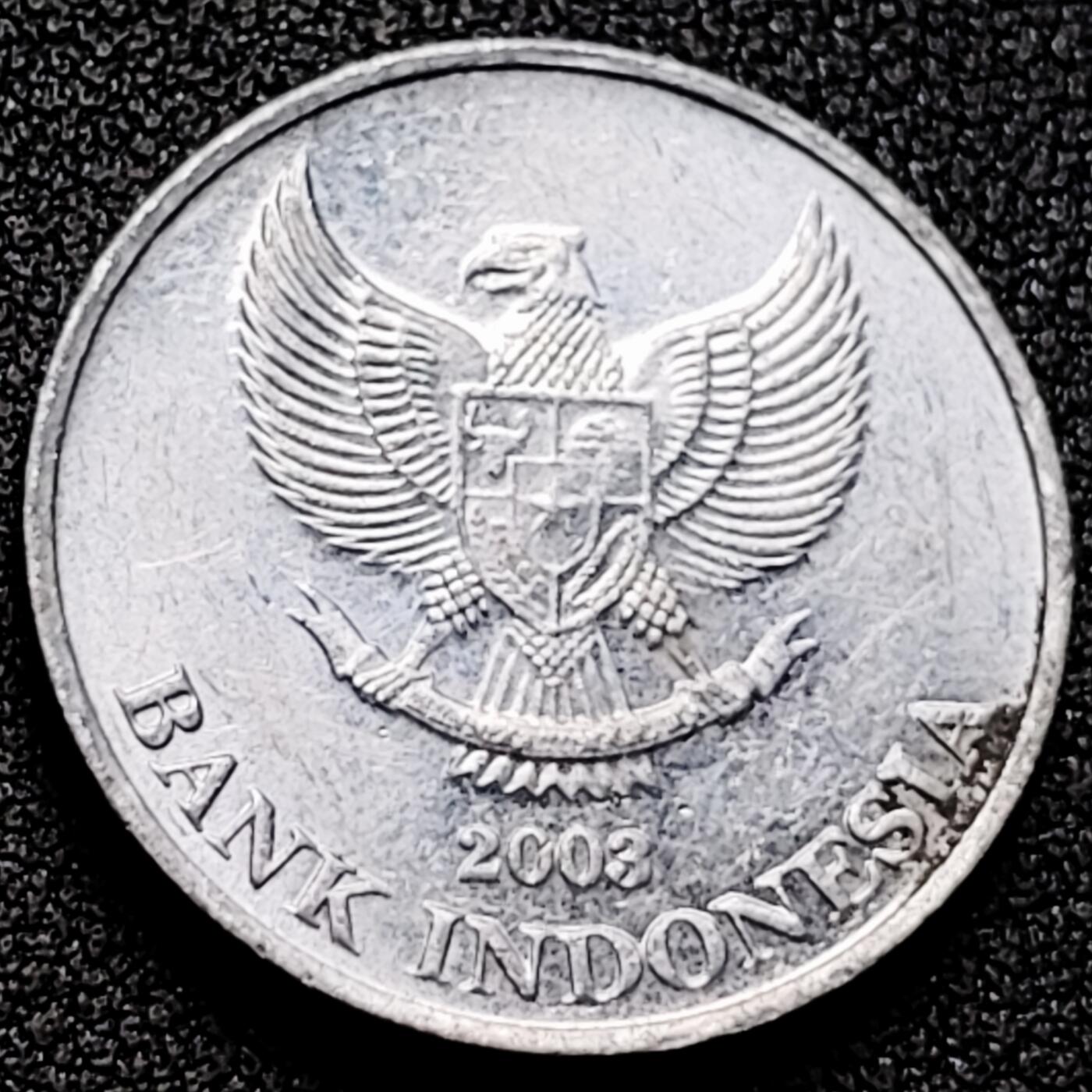 泉币菌-第170场- 精品福利场 。