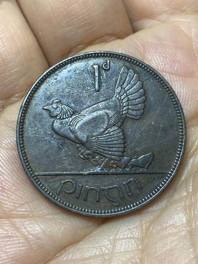 2026年第七场(总第一百七十六场）外国好品散币场(免佣金) - 少见年份–爱尔兰1931年1便士(英辖自由邦时期)