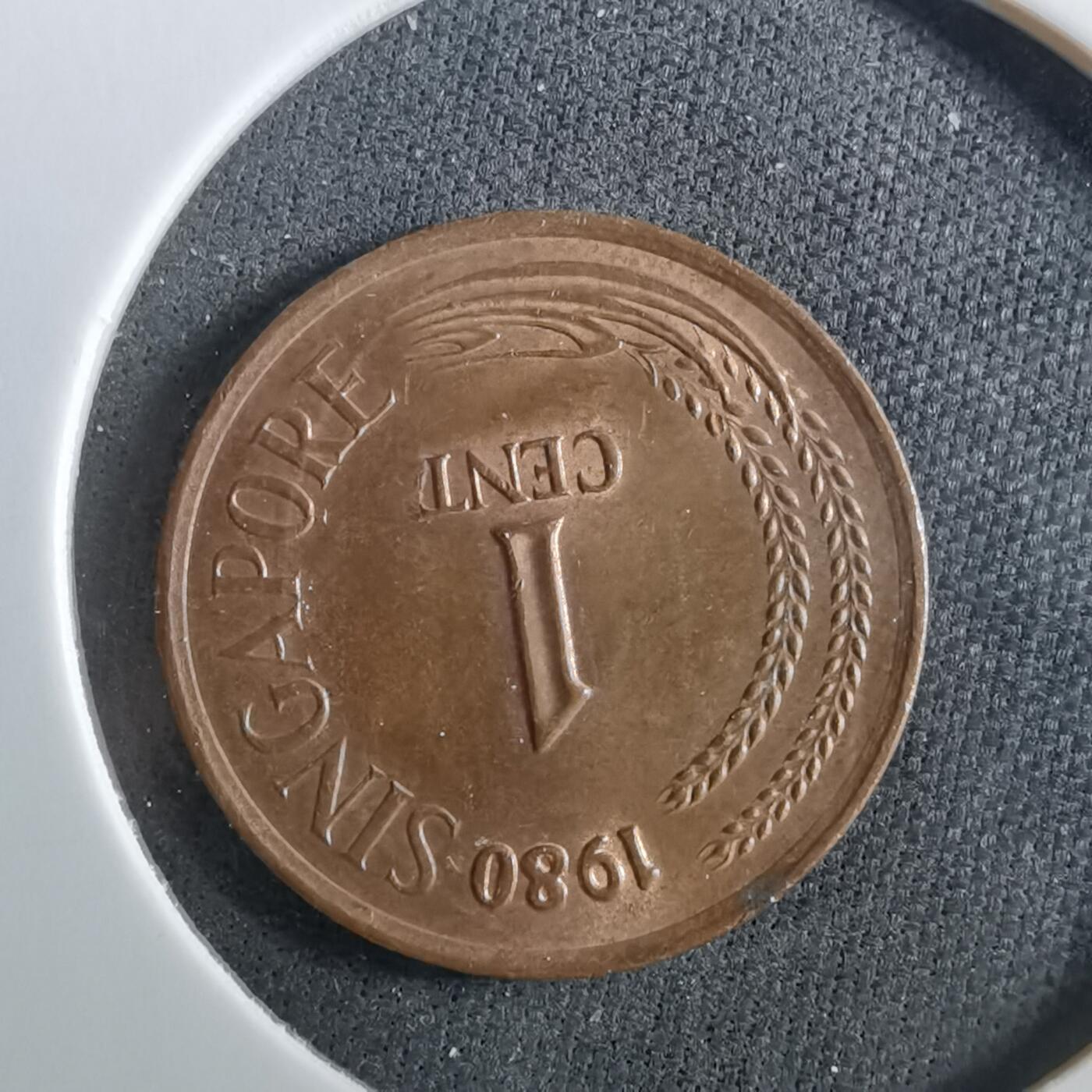 沼泽如烟--第960场