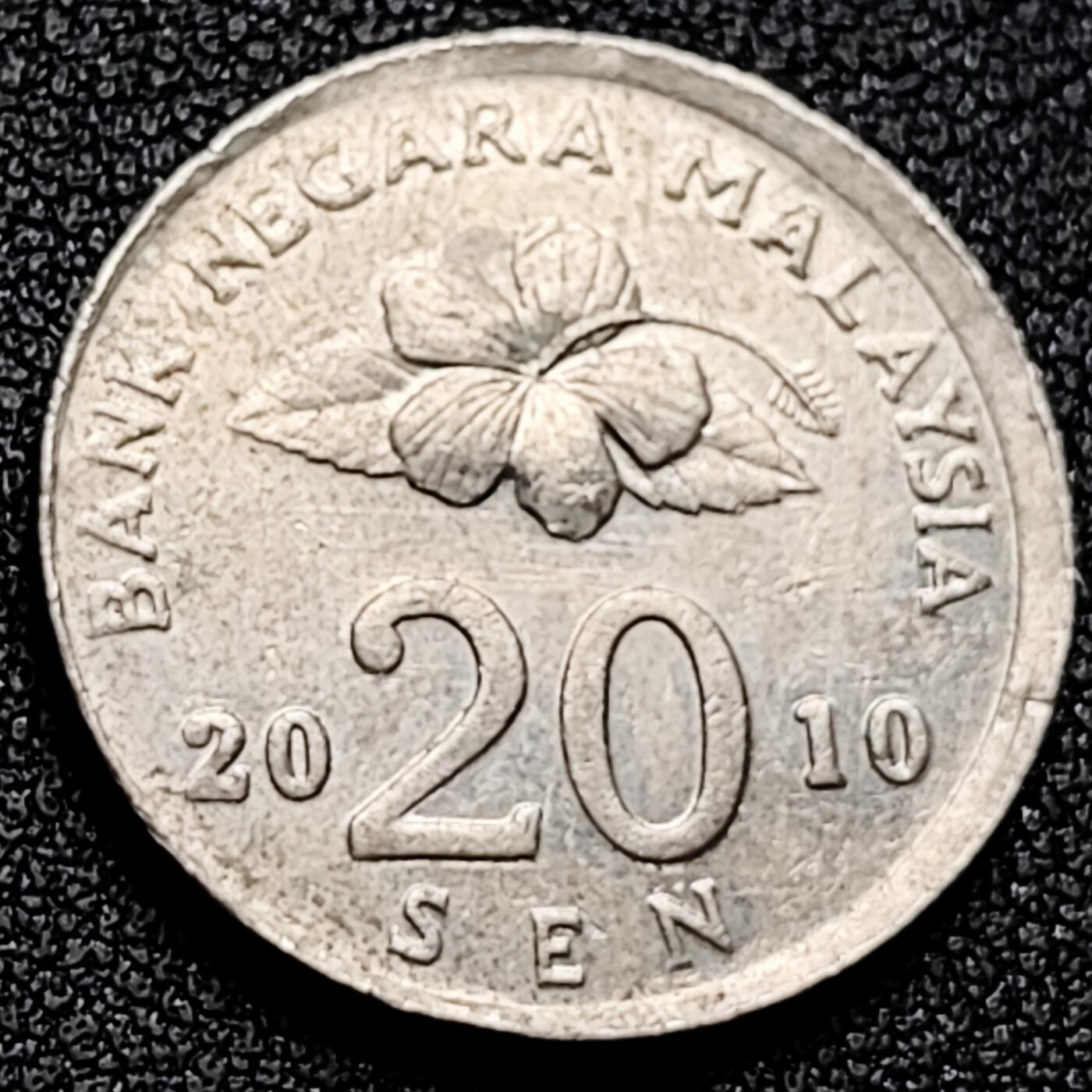 泉币菌-第170场- 精品福利场 。