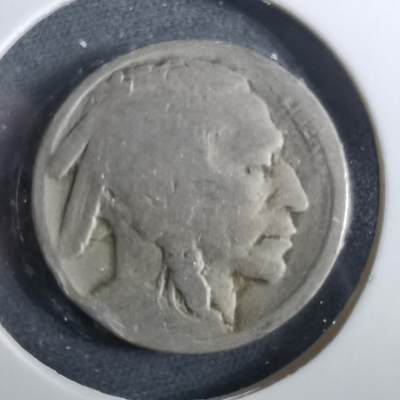 沼泽如烟--第960场 - 美国野牛五分