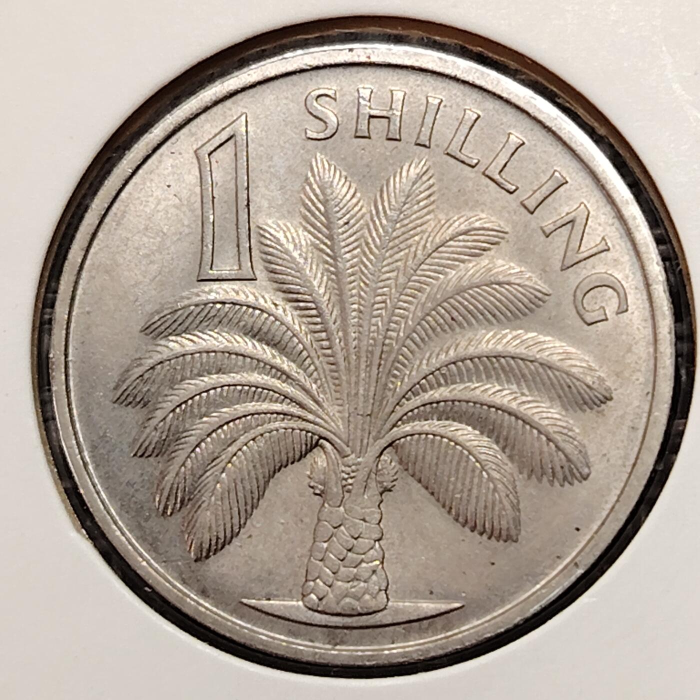 布加迪🐬～世界钱币(上海)🌾第 269 期 /  各国套币和散币 英属冈比亚🇬🇲 1966年 1先令