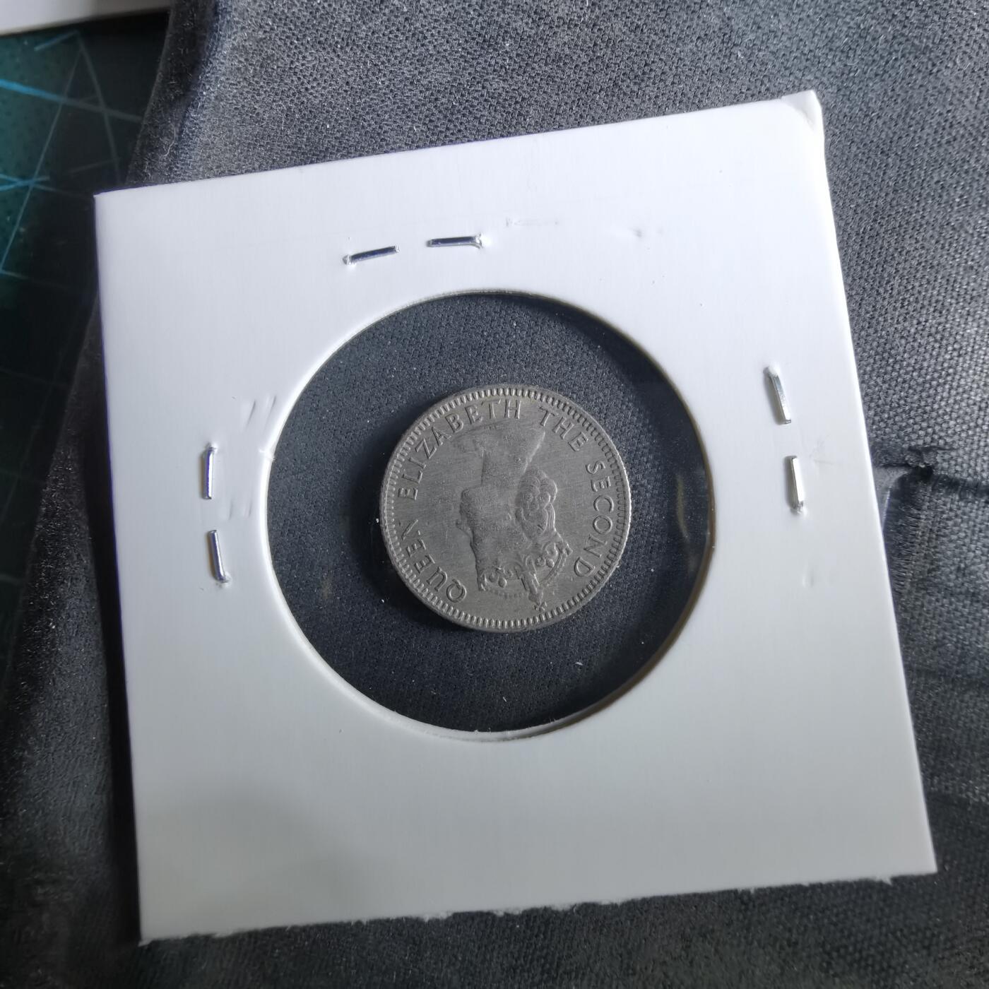 沼泽如烟--第960场