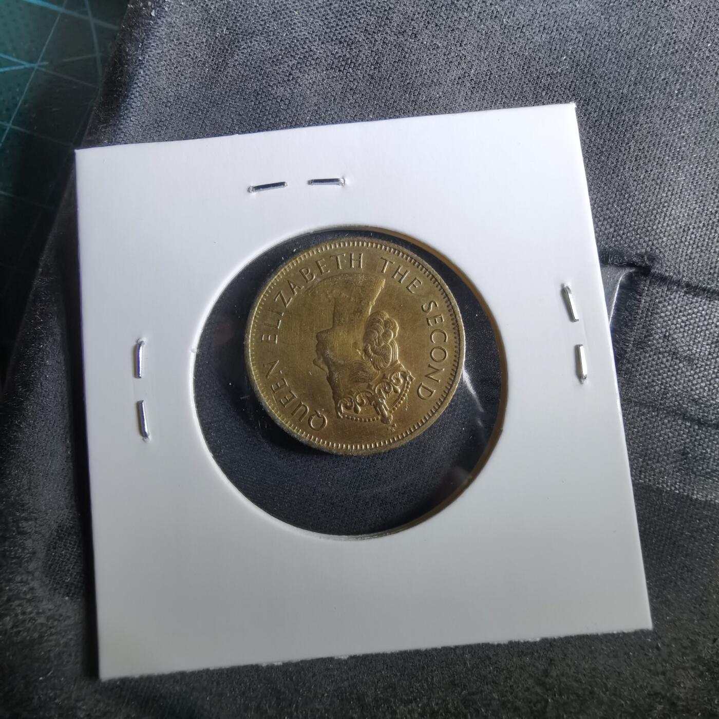 沼泽如烟--第960场