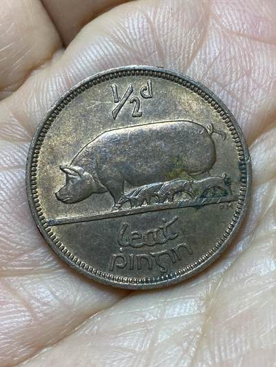 2026年第七场(总第一百七十六场）外国好品散币场(免佣金) - 爱尔兰🇮🇪1966年1/2便士(共和国时期第一套)