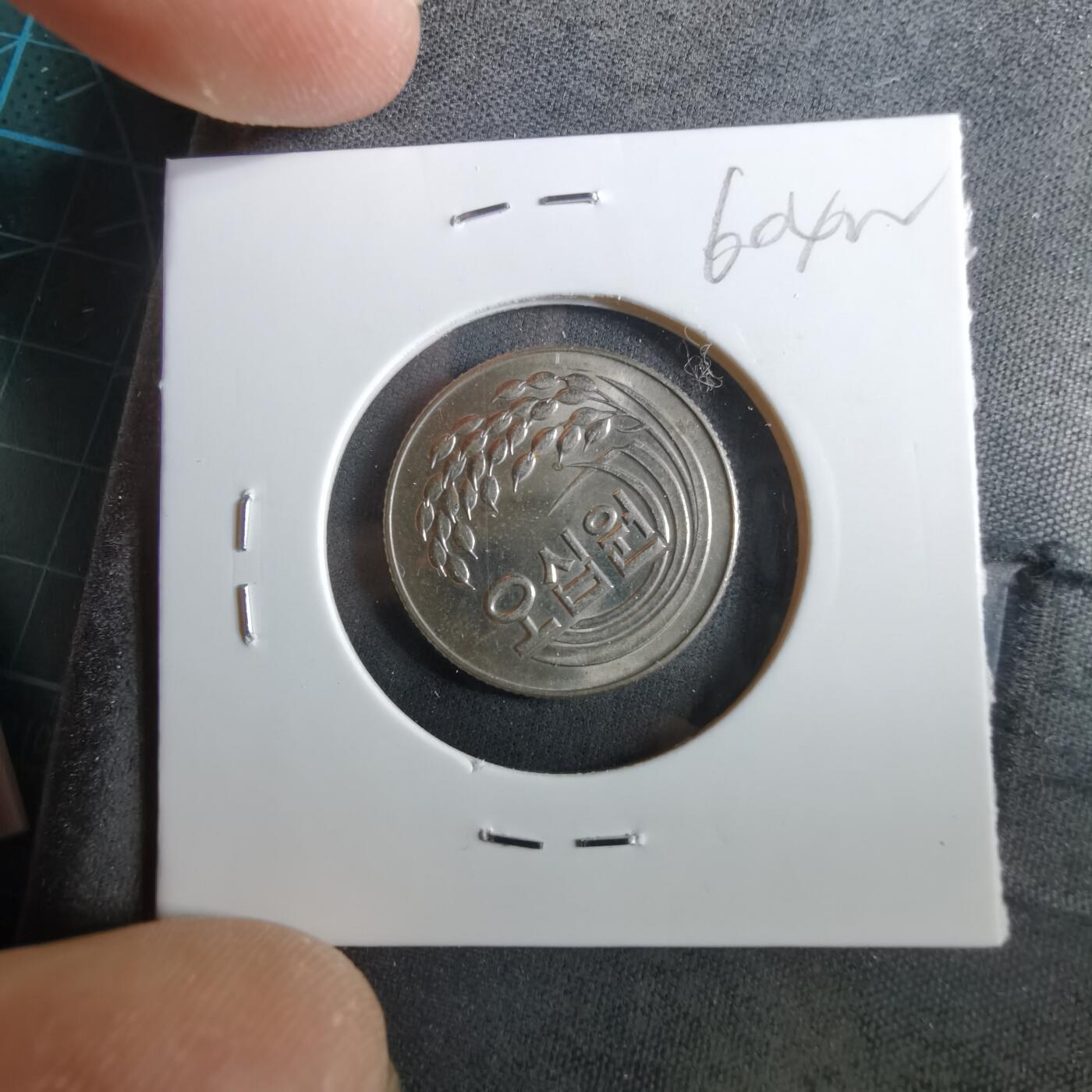 沼泽如烟--第960场