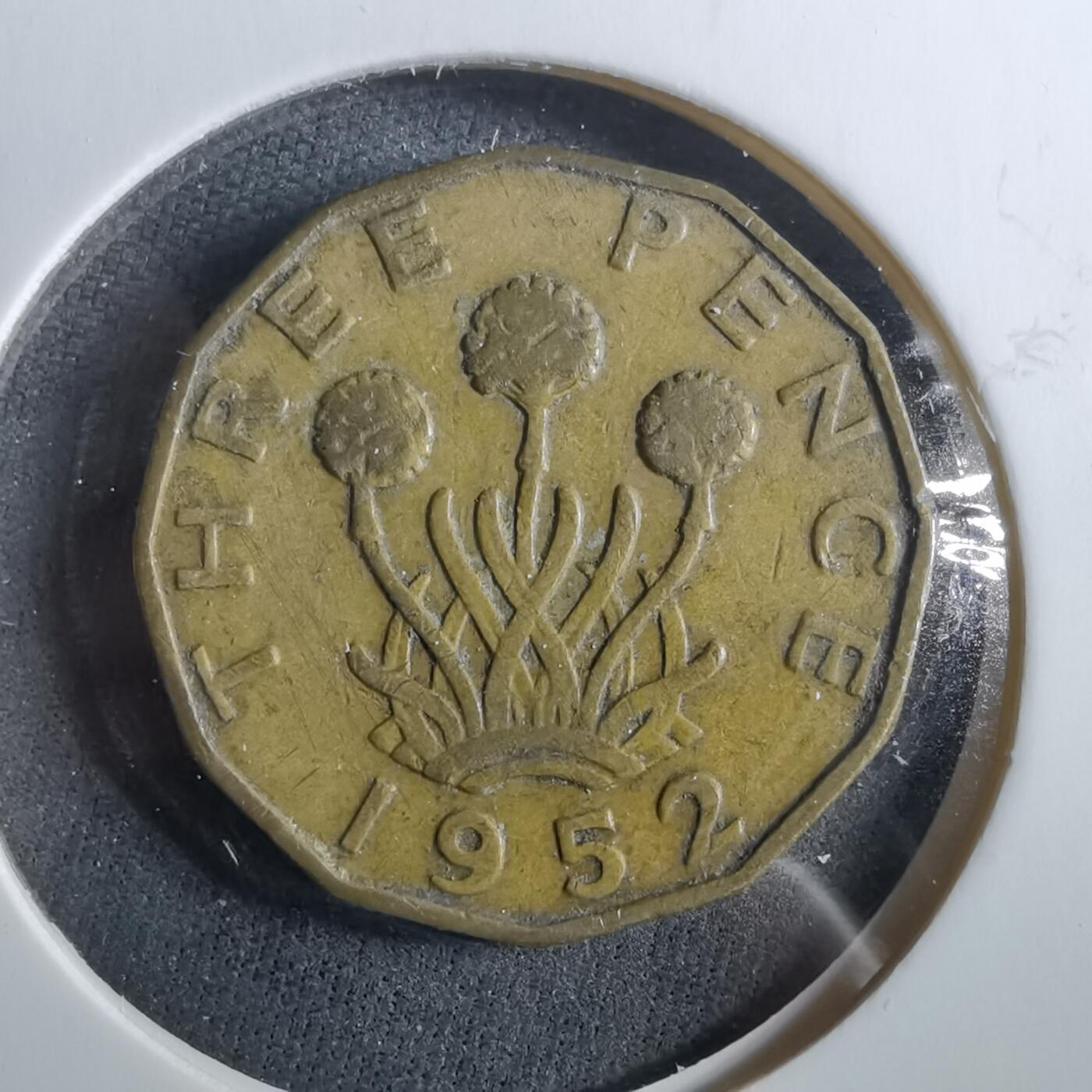 沼泽如烟--第960场