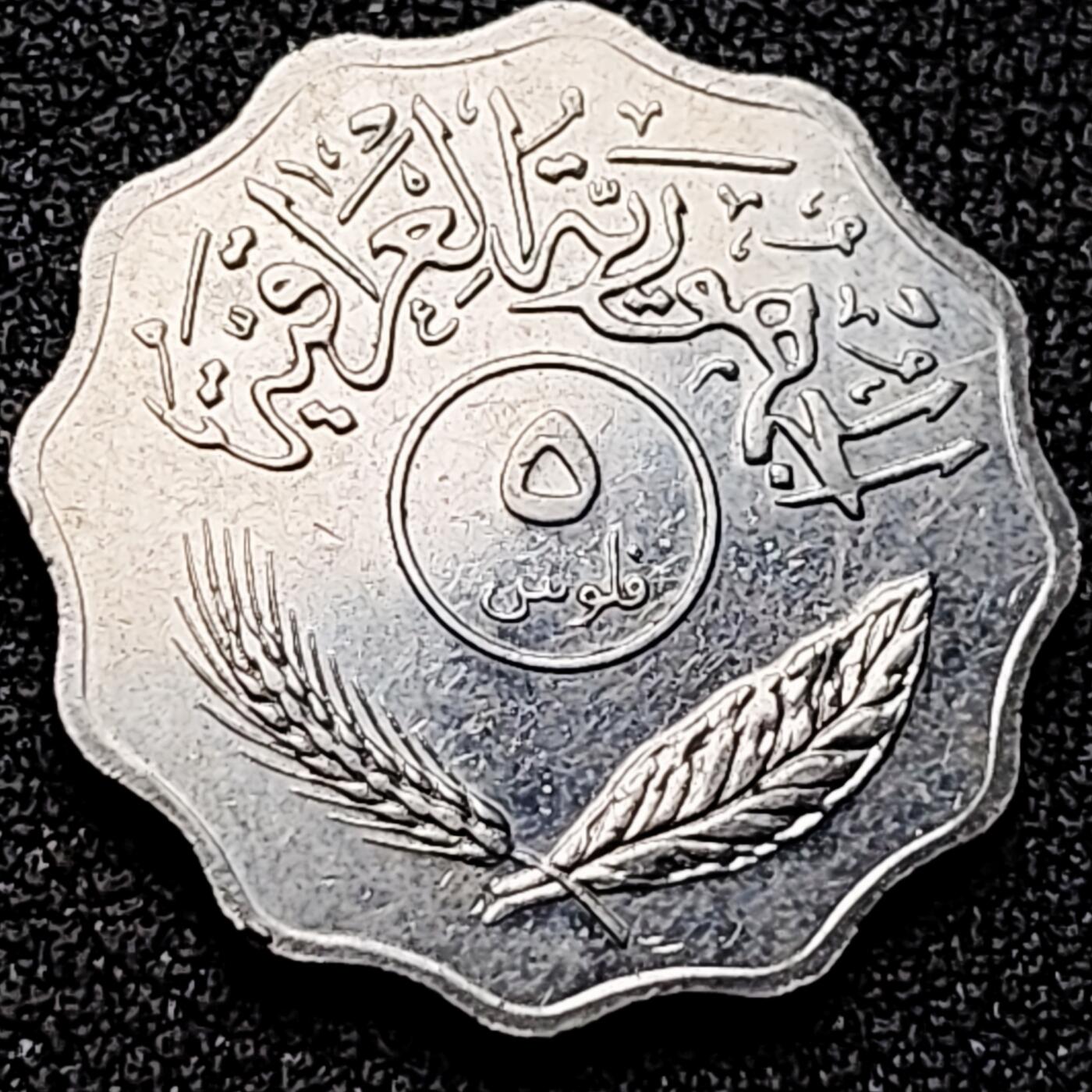 泉币菌-第170场- 精品福利场 。