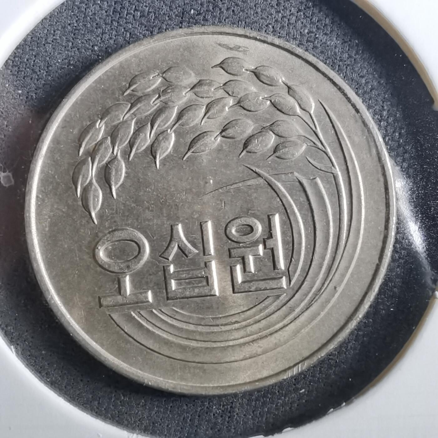 沼泽如烟--第960场