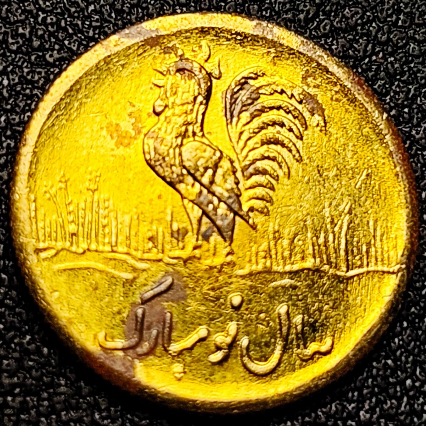 泉币菌-第170场- 精品福利场 。