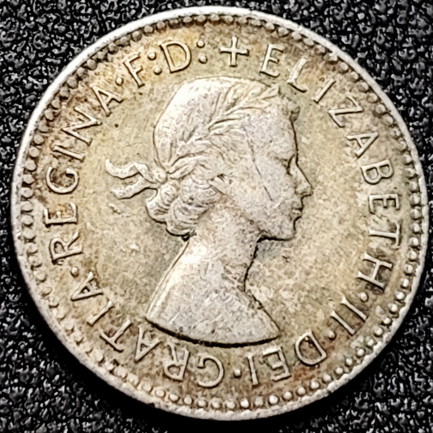 泉币菌-第170场- 精品福利场 。