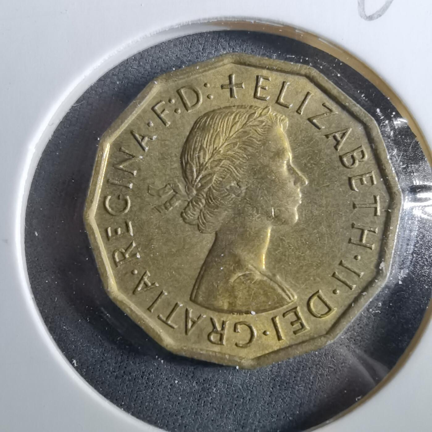 沼泽如烟--第960场