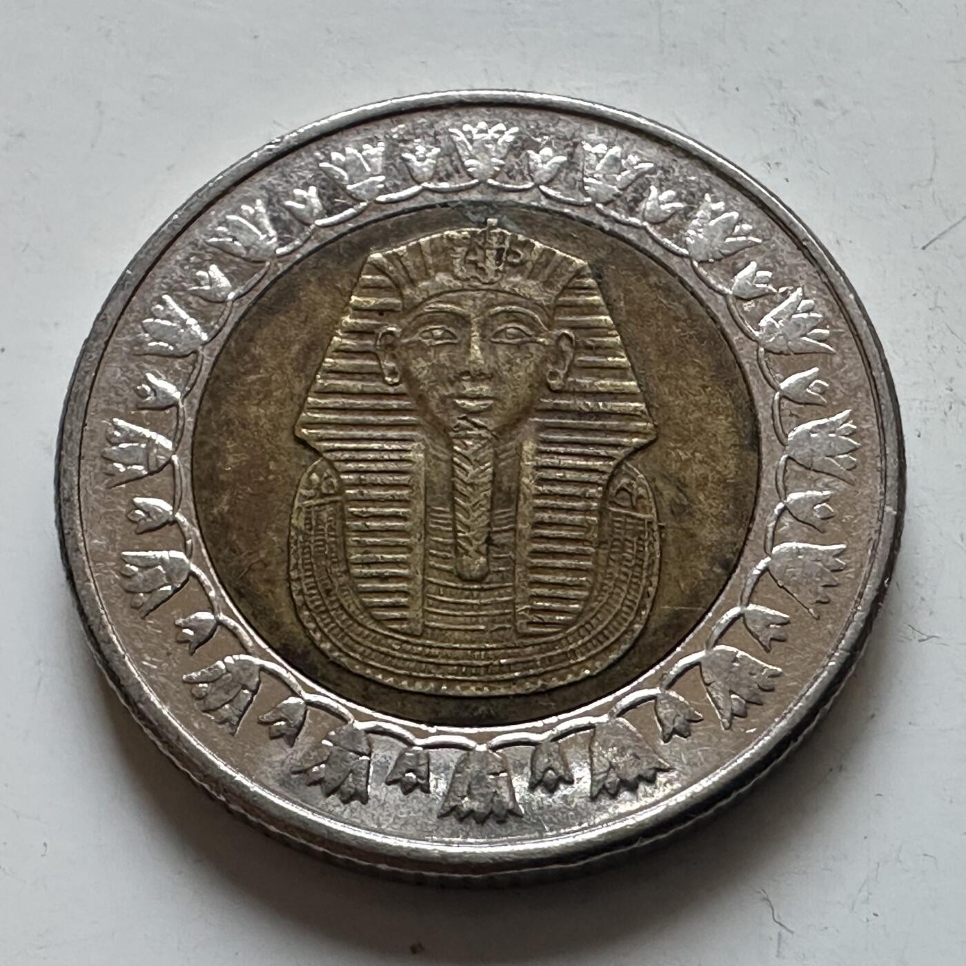 🌹外币初藏🌹🐯2026年第7场  每周二四六晚8️⃣点 接代拍 埃及2020年1镑